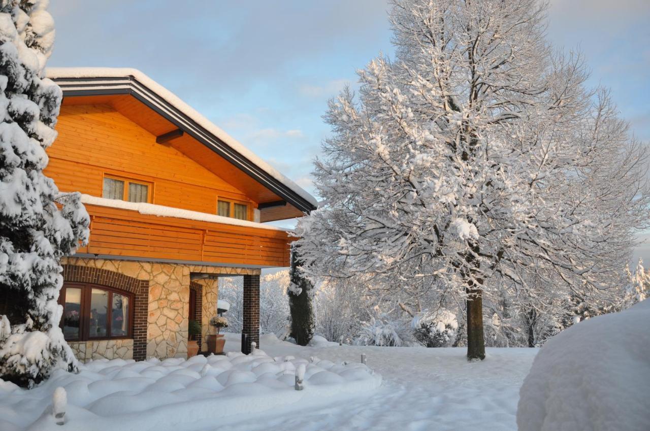 Guesthouse Dolinsek Sevnica Extérieur photo