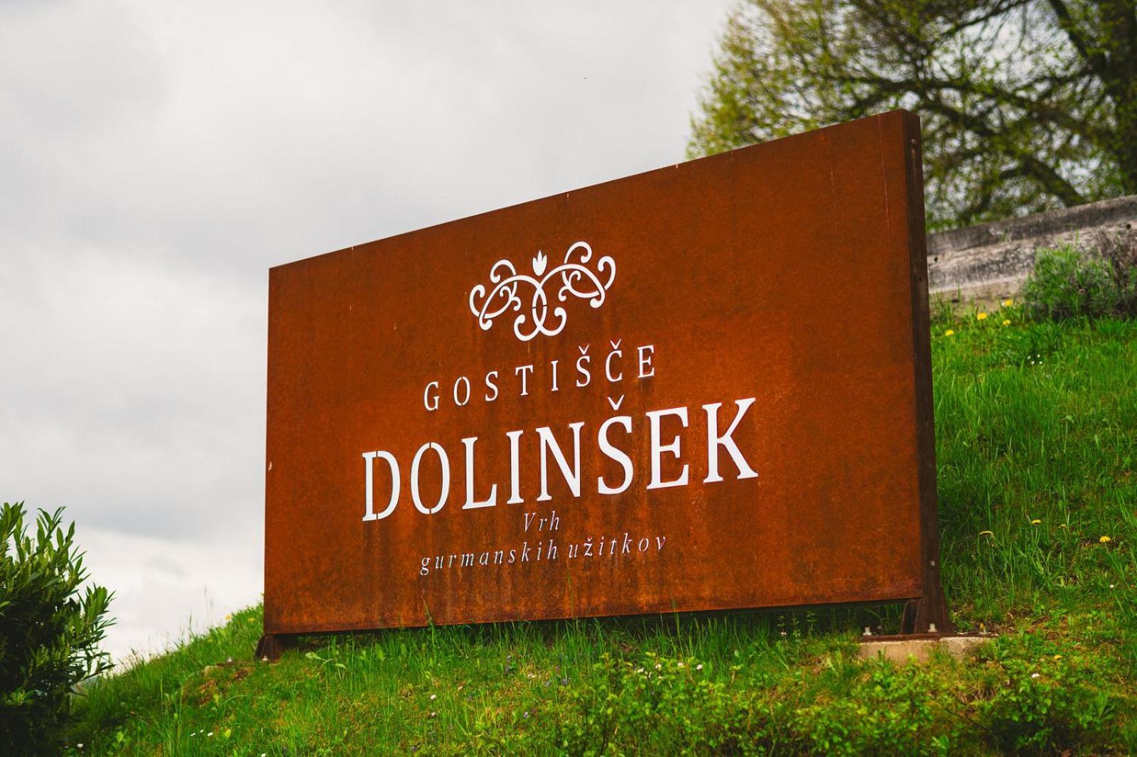 Guesthouse Dolinsek Sevnica Extérieur photo