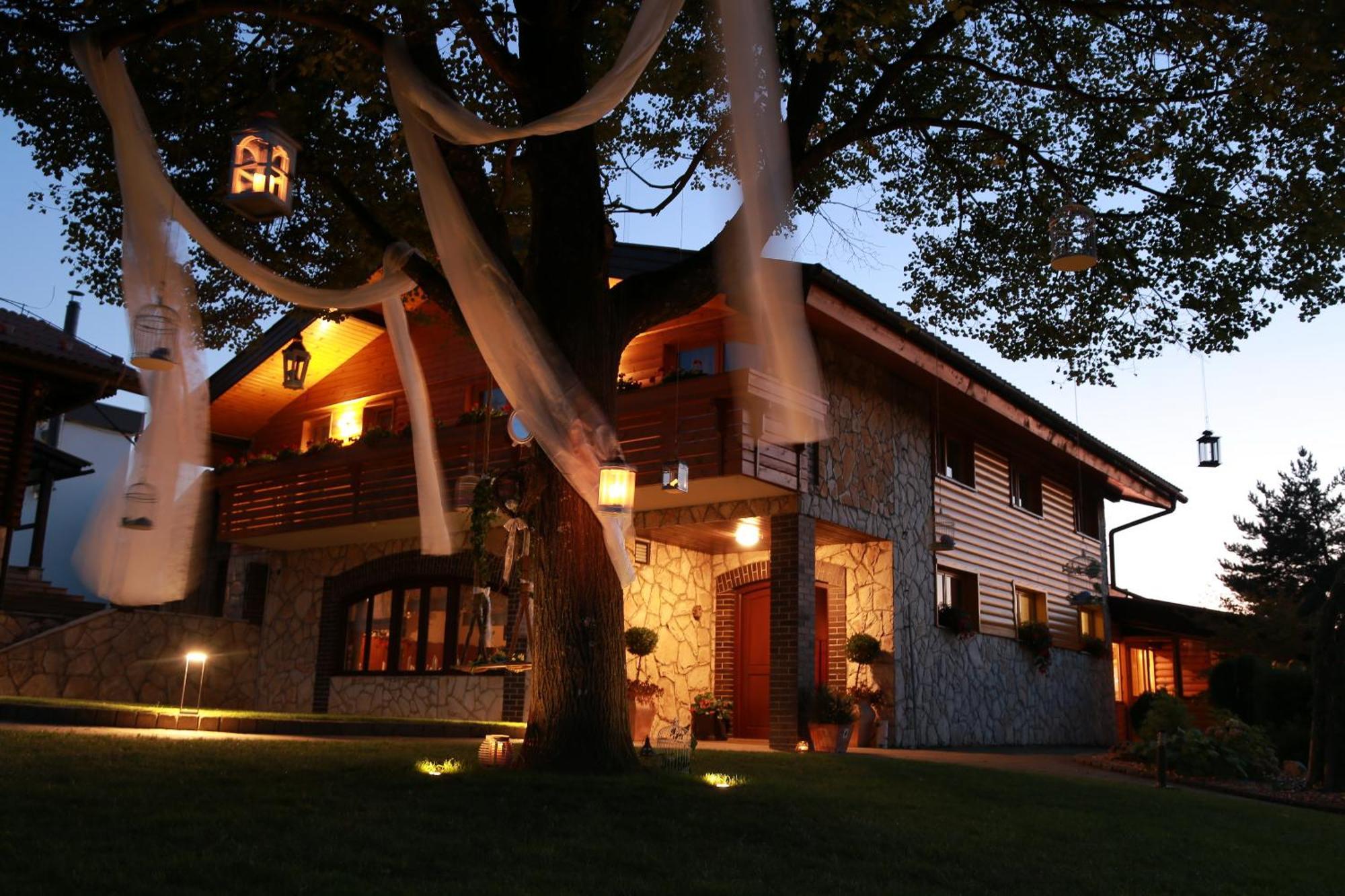 Guesthouse Dolinsek Sevnica Extérieur photo