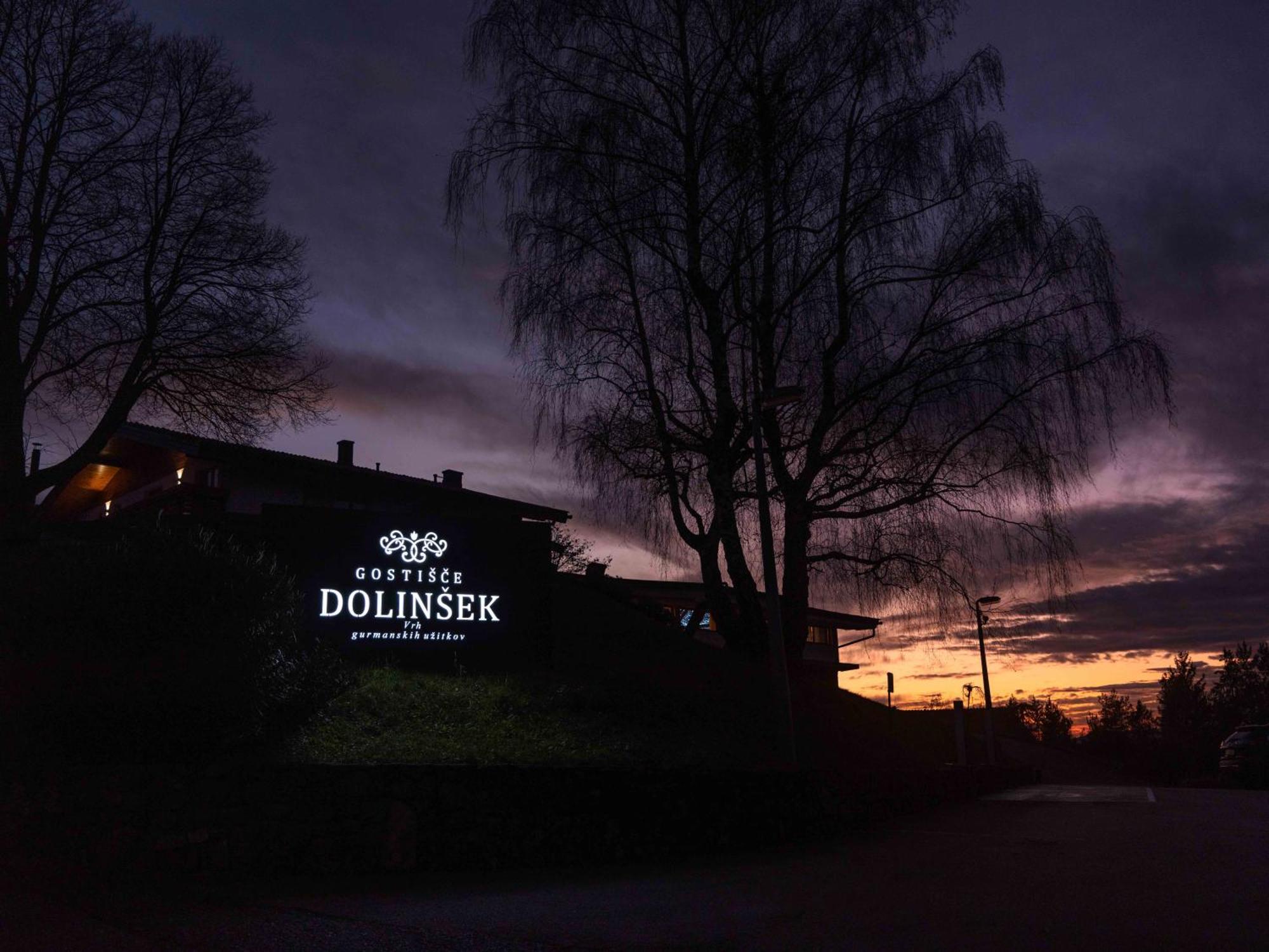 Guesthouse Dolinsek Sevnica Extérieur photo